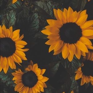 Meet your Posher, Kandyce